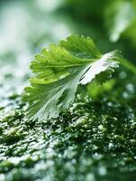 Fresh Cilantro Leaf on Homemade Green Sauce. A close up image of vibrant green cilantro resting on a bed of freshly made sauce. photo
