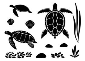 Black and white illustration featuring sea turtles shells algae and underwater elements vector