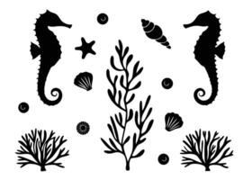 Black and white illustration of seahorses starfish seaweed and shells on white background vector