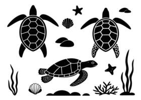 Black and white illustration of various sea turtles and marine elements isolated vector