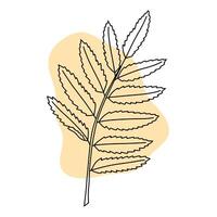 Rowan Branch Minimalist Line Art Design vector