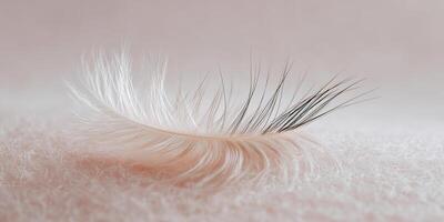 Human eyelash delicately resting on a white cotton pad against a soft peach background photo
