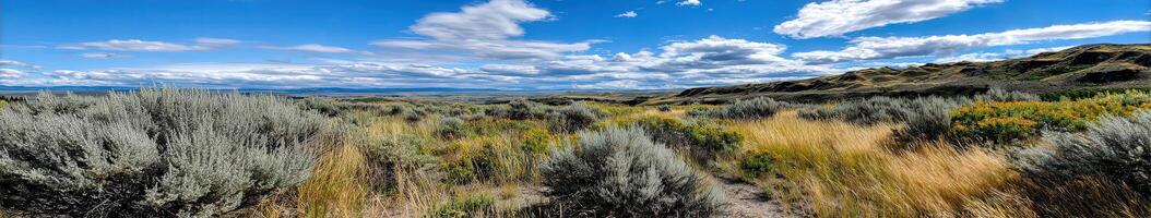 Vast landscape of sagebrush and grassland under a cloudy sky photo