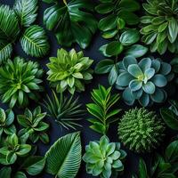 Exploring a lush arrangement of diverse green plants and vibrant textures in nature photo