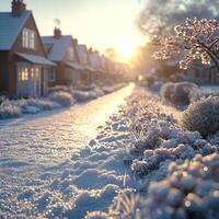 Winter morning light gently illuminating a snowy neighborhood with blooming flowers photo
