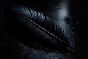 Dramatic close up of a black raven feather on a dark wet surface with water drops photo