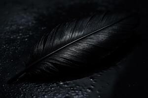 Dramatic close up of a single black feather with water droplets on a dark, wet surface photo