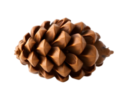 A detailed close up of a single brown pine cone with its scales clearly defined isolated on transparent background png