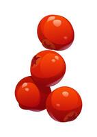 Cartoon shiny red cranberries, harvest symbol vector