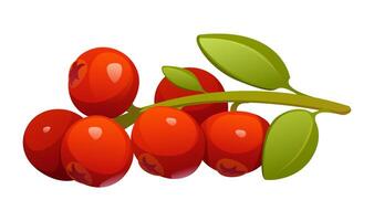 Cartoon ripe and juicy cranberries on green stem vector