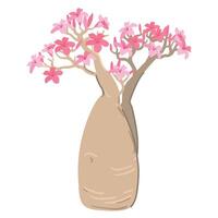 bottle tree with pink flowers. Adenium socotranum landmark of Socotra island in Yemen. Isolated Desert rose, Adenium Obesum or red impala lily in bloom. vector