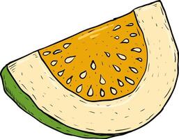 Illustration Slice of guava vector