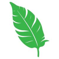 Green leaf illustration isolated on white background vector