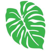 Green leaf illustration isolated on white background for nature plant eco design vector