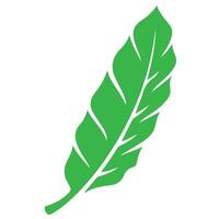 Green leaf illustration isolated on white background design vector