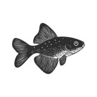 Fish Silhouette Illustration. Detailed Aquatic Animal Design For Marine Life Concepts. Isolated Illustration vector
