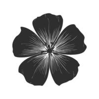 Black And White Flower Silhouette Illustration. Botanical Art And Nature Aesthetics Isolated Illustration vector