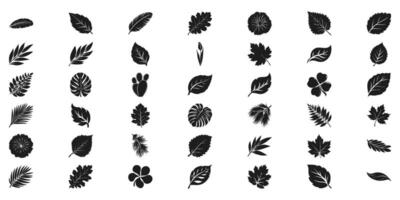 Silhouette Leaf Icons Set. Nature And Botanical Design Elements Collection. Isolated Illustration vector