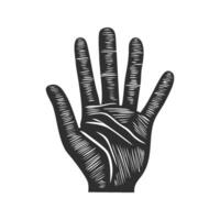 Hand Palm With Detailed Lines Silhouette Illustration. Symbolizes Palmistry And Fortune Telling. Isolated Illustration vector
