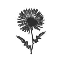 Dandelion Flower Silhouette Illustration. Nature'S Simplicity And Elegance Isolated Illustration vector