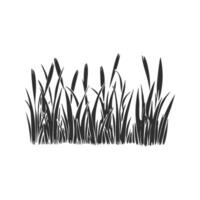 Silhouette Of Tall Grass And Cattails Illustration. Nature And Wetland Theme Isolated Illustration vector
