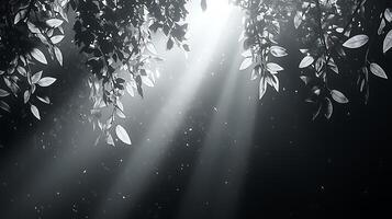 Monochromatic Leaves and Light Rays A Dramatic Nature Image. photo