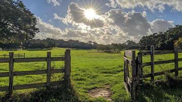 Sunburst over Green Pasture with Wooden Fence and Open Gate. A picturesque rural landscape scene. photo