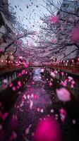 Cherry Blossom Petals Falling on Canal Water in Japan. A stunning image of pink petals floating on a canal, surrounded by blossoming cherry trees. photo