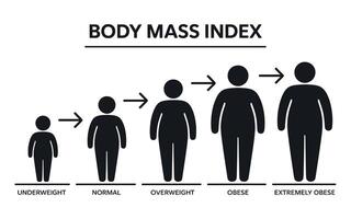 Body Mass Index Chart Showing Stages of Weight vector