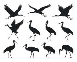 Collection of Black and White Crane Silhouettes in Various Poses cranes flight standing positions crane bird silhouette black white flying standing animal wildlife vector