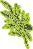 Olive branch with leaves as an iconic Italian symbol. Botanical illustration with detailed line style. vector
