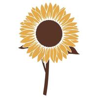 Stylized sunflower with brown center and yellow petals on a white background vector