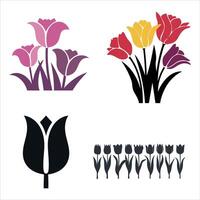 Stylized tulip illustrations in various colors and silhouettes vector
