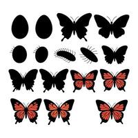 Butterfly life cycle stages and colorful butterfly illustrations vector