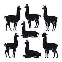 Collection of black llama silhouettes in various poses and one wearing a hat vector