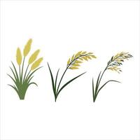 Stylized depiction of three different wheat or grass stalks vector