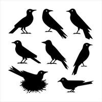 Collection of silhouetted birds in various poses on a white background vector
