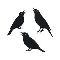 Three silhouetted birds singing together in harmony vector