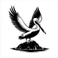 Stylized black and white pelican with wings spread on a rock vector