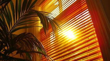 Golden Hour Sunlight Streaming Through Window Blinds and Palm Leaves. photo
