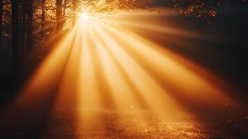 Golden Sunlight Rays Streaming Through Autumn Forest Canopy. A breathtaking image of sunbeams piercing through the trees. photo