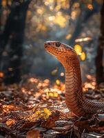 Majestic Serpent in Autumnal Sunlight A Close-Up of a Snake's Elegant Posture. photo