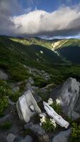 Serene Mountain Landscape with White Flowers and Rocks. A breathtaking view of a tranquil mountain scene. photo