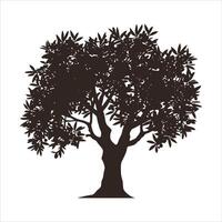 Silhouette of a mature olive tree with abundant fruit on a white background vector