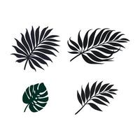 Collection of stylized tropical leaf silhouettes on a white background vector
