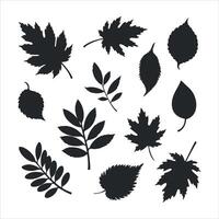 Collection of black silhouette autumn leaves and branches on white background vector