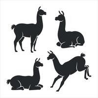 Four black silhouette llamas in different poses on white background vector