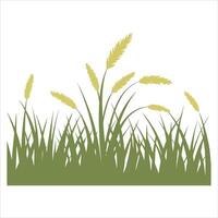 Stylized green grass with yellow feathery seed heads against a white background vector