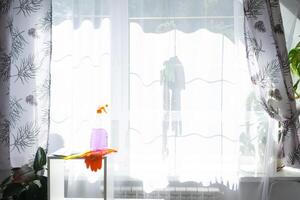 A window with a bird on it photo