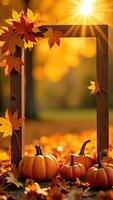 Autumn pumpkins and leaves in frame photo